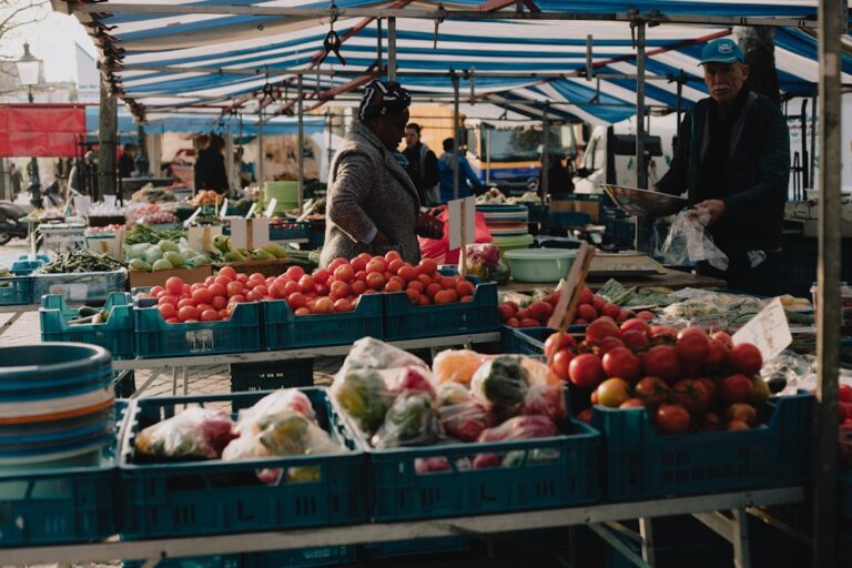 Photo Fresh vegetables
