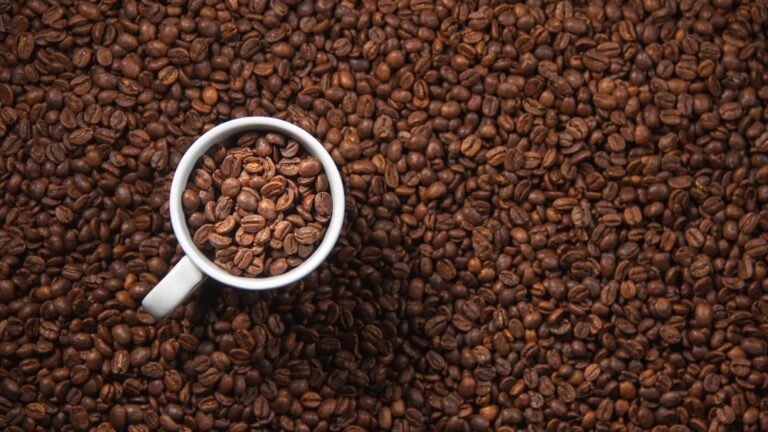 Photo Cocoa beans
