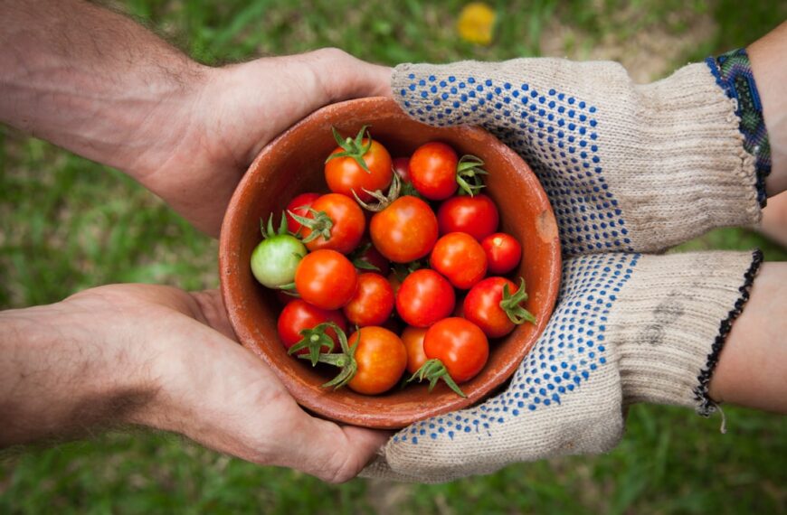 Photo Organic produce