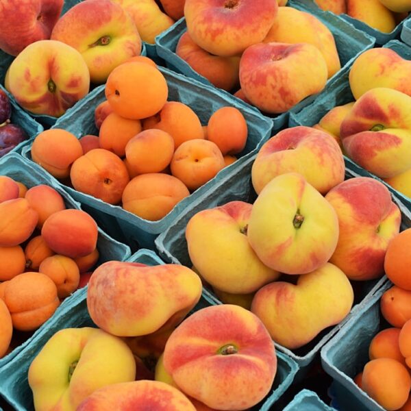 Photo Fresh produce